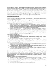 Socialinių paslaugų teikimas konspektas 2 puslapis