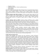 Socialinių paslaugų teikimas konspektas 4 puslapis