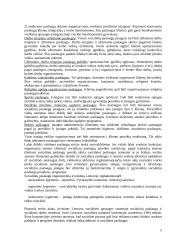 Socialinių paslaugų teikimas konspektas 5 puslapis