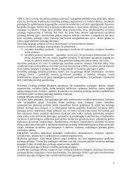 Socialinių paslaugų teikimas konspektas 6 puslapis