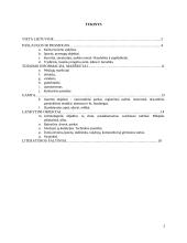 Turizmas Birštone 2 puslapis