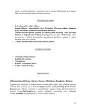 Turizmas Birštone 12 puslapis