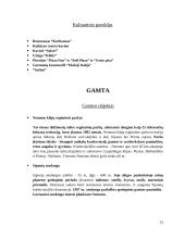 Turizmas Birštone 13 puslapis