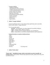 Turizmas Birštone 5 puslapis