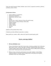 Turizmas Birštone 6 puslapis