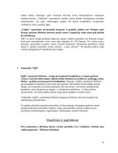 Turizmas Birštone 10 puslapis