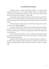 Elektroninių mokėjimų sistemos 12 puslapis