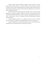 Elektroninių mokėjimų sistemos 6 puslapis