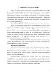 Elektroninių mokėjimų sistemos 7 puslapis