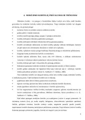 Elektroninių mokėjimų sistemos 9 puslapis