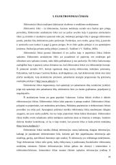 Elektroninių mokėjimų sistemos 10 puslapis