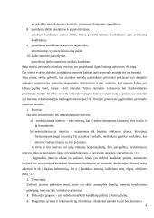 Personalo atranka referatas 4 puslapis