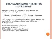 Tarpiniai ir galutiniai baltymų apykaitos sutrikimų padariniai. Nukleoproteinų apykaitos sutrikimai. Podarga. 3 puslapis