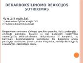 Tarpiniai ir galutiniai baltymų apykaitos sutrikimų padariniai. Nukleoproteinų apykaitos sutrikimai. Podarga. 5 puslapis