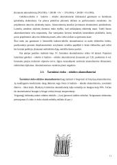 Akumuliatoriai ir galvaniniai elementai 11 puslapis