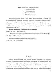 Akumuliatoriai ir galvaniniai elementai 12 puslapis