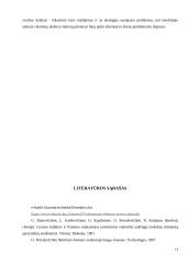 Akumuliatoriai ir galvaniniai elementai 13 puslapis