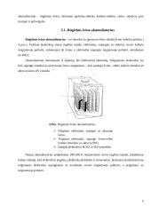 Akumuliatoriai ir galvaniniai elementai 8 puslapis