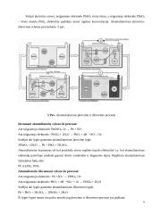 Akumuliatoriai ir galvaniniai elementai 9 puslapis