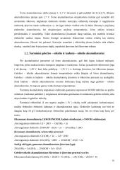 Akumuliatoriai ir galvaniniai elementai 10 puslapis