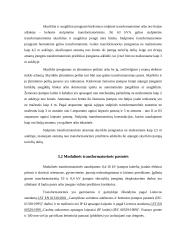 0,4/10 kV skirstyklos 7 puslapis