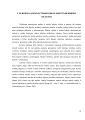 Aukštojo mokslo prieinamumas lyčių lygybės aspektu 10 puslapis