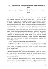 Praktikos ataskaita "Eurokos" 16 puslapis