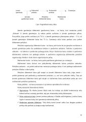 Praktikos ataskaita "Eurokos" 7 puslapis