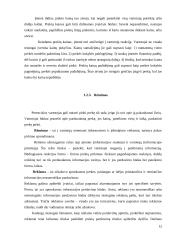 Praktikos ataskaita "Eurokos" 9 puslapis