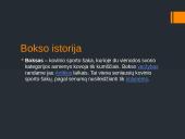 Boksas Lietuvoje 2 puslapis