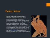 Boksas Lietuvoje 3 puslapis