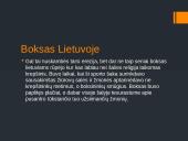 Boksas Lietuvoje 6 puslapis