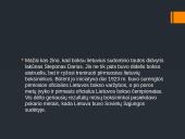 Boksas Lietuvoje 7 puslapis