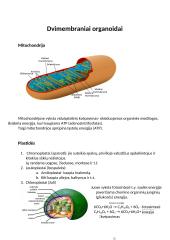 Ląstelės sandara ir organoidai 7 puslapis