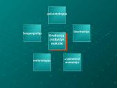 Evoliucijos moksliniai įrodymai 2 puslapis