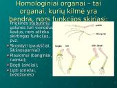 Evoliucijos moksliniai įrodymai 11 puslapis