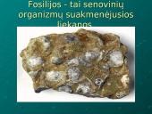 Evoliucijos moksliniai įrodymai 4 puslapis