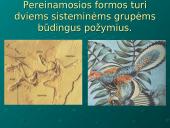 Evoliucijos moksliniai įrodymai 6 puslapis
