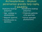 Evoliucijos moksliniai įrodymai 7 puslapis