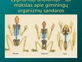Evoliucijos moksliniai įrodymai 10 puslapis