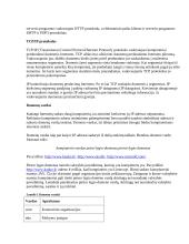 Pagrindinės interneto sampratos 3 puslapis