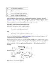 Pagrindinės interneto sampratos 4 puslapis