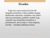 Euro zonos skolų krizės priežastys ir padariniai  14 puslapis