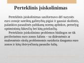 Euro zonos skolų krizės priežastys ir padariniai  9 puslapis