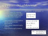 Lygčių sistemos būdai 11 puslapis