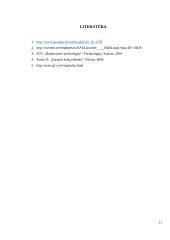 Dalykinės komunikacijos ypatumai su Švedijos šalies atstovais 11 puslapis