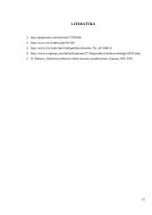 Elektros energijos kokybės rodikliai ir normos 12 puslapis