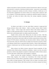 Elektros energijos kokybės rodikliai ir normos 6 puslapis