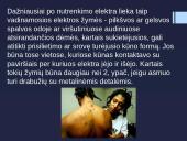 Elektros srovės poveikis žmogaus organizmui skaidrės 5 puslapis