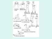 Fiziniai pratimai jaunimui 17 puslapis